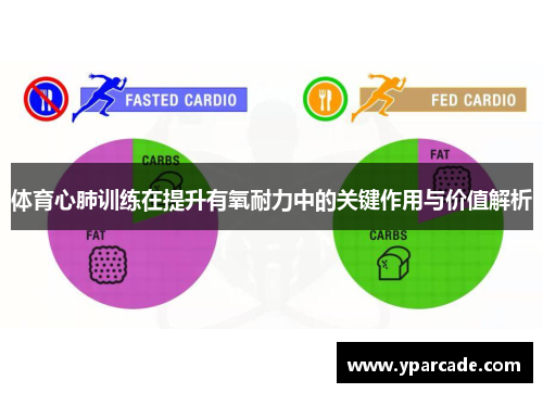 体育心肺训练在提升有氧耐力中的关键作用与价值解析